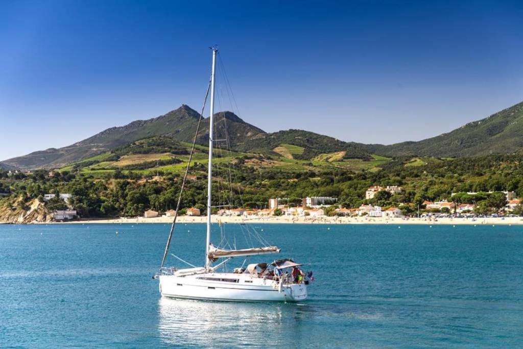 "Les Bambous" Studio Cosy Climatise Au Calme De 37 M2 Parking Gratuit A Argeles Sur Mer ภายนอก รูปภาพ